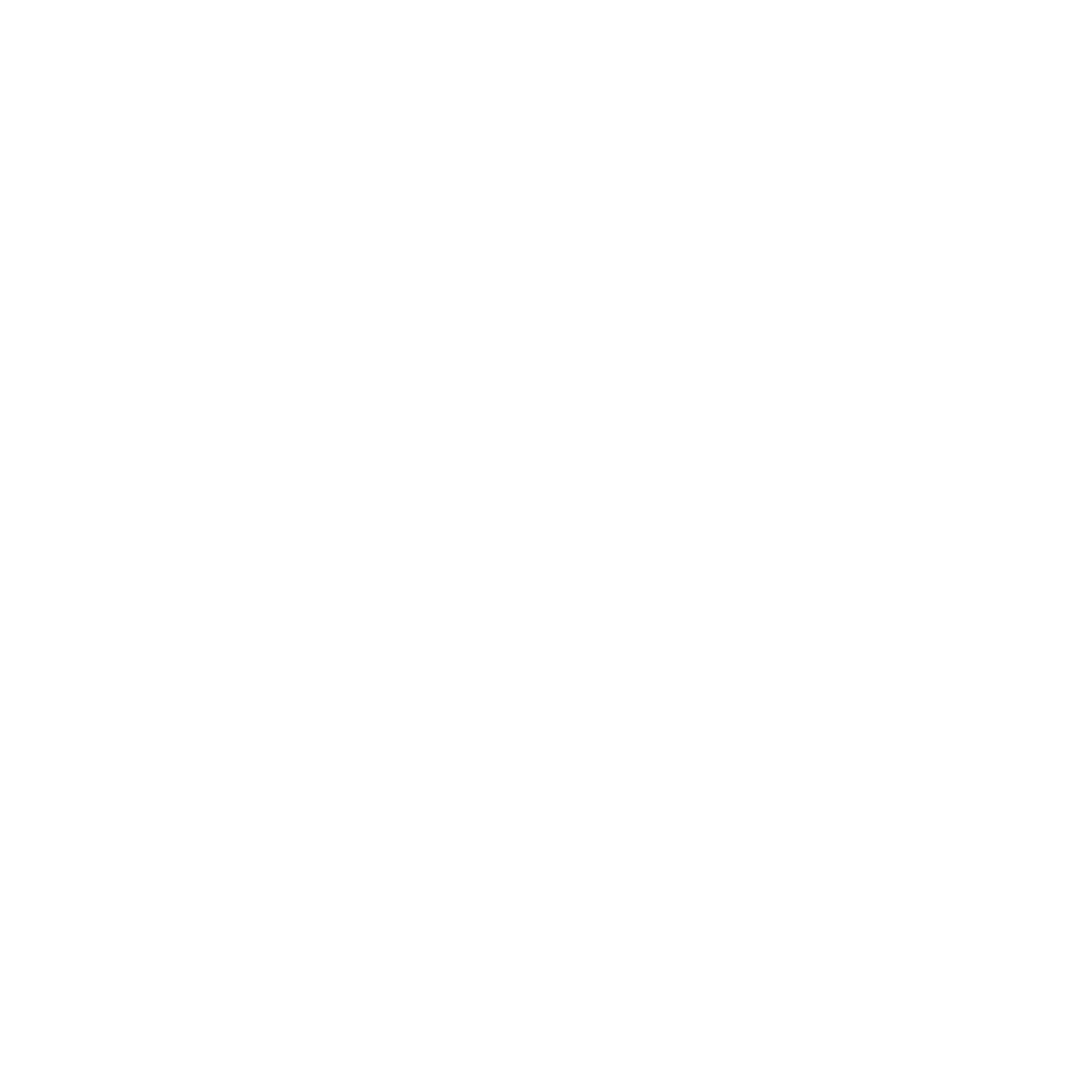 Neelikon Logo